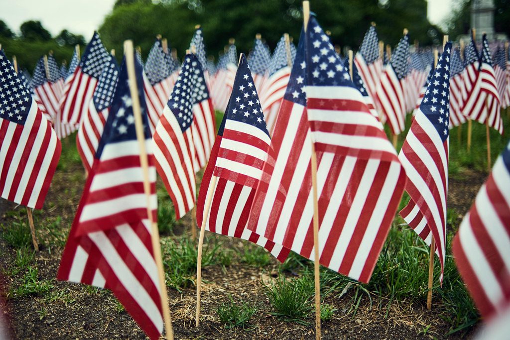 Field of small American Flags