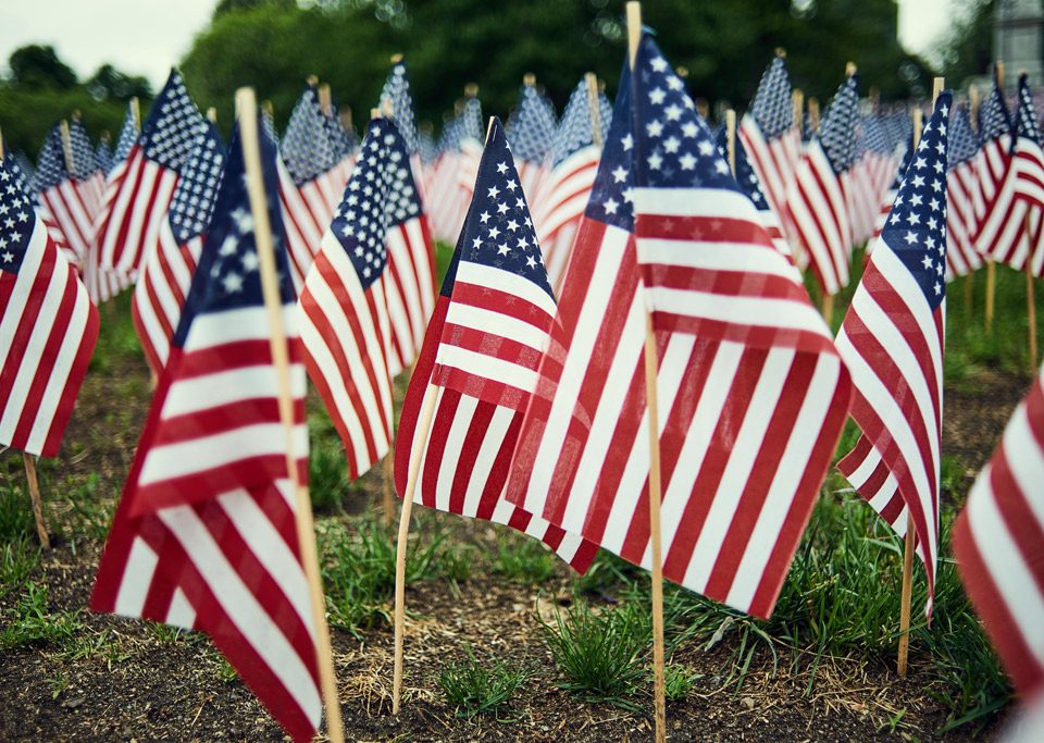 Field of small American Flags