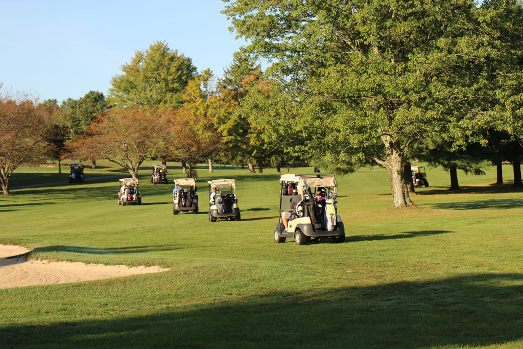 Golf carts starting their scramble.